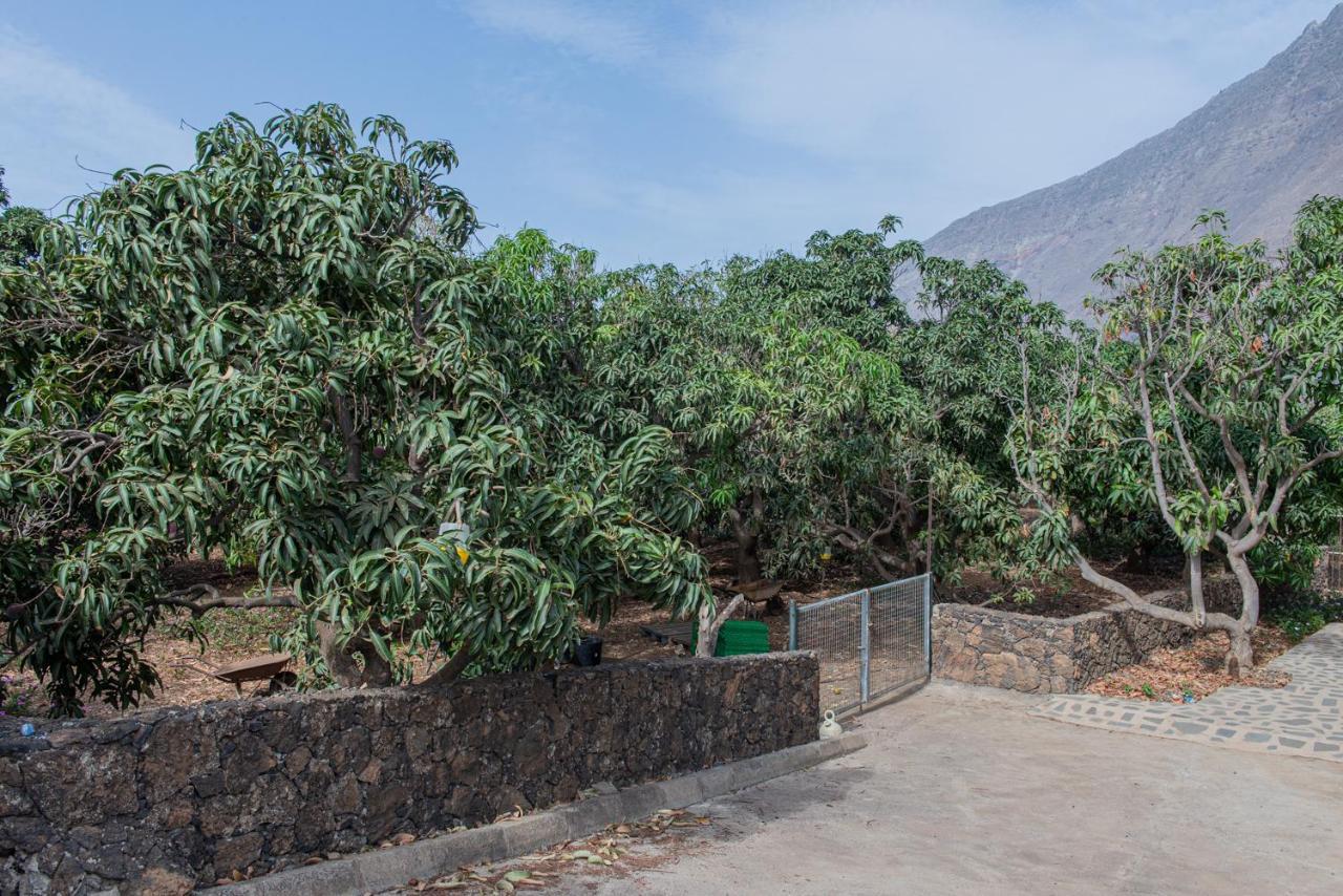 Apartments On An Organic Farm By The Coast, La Frontera Exterior foto