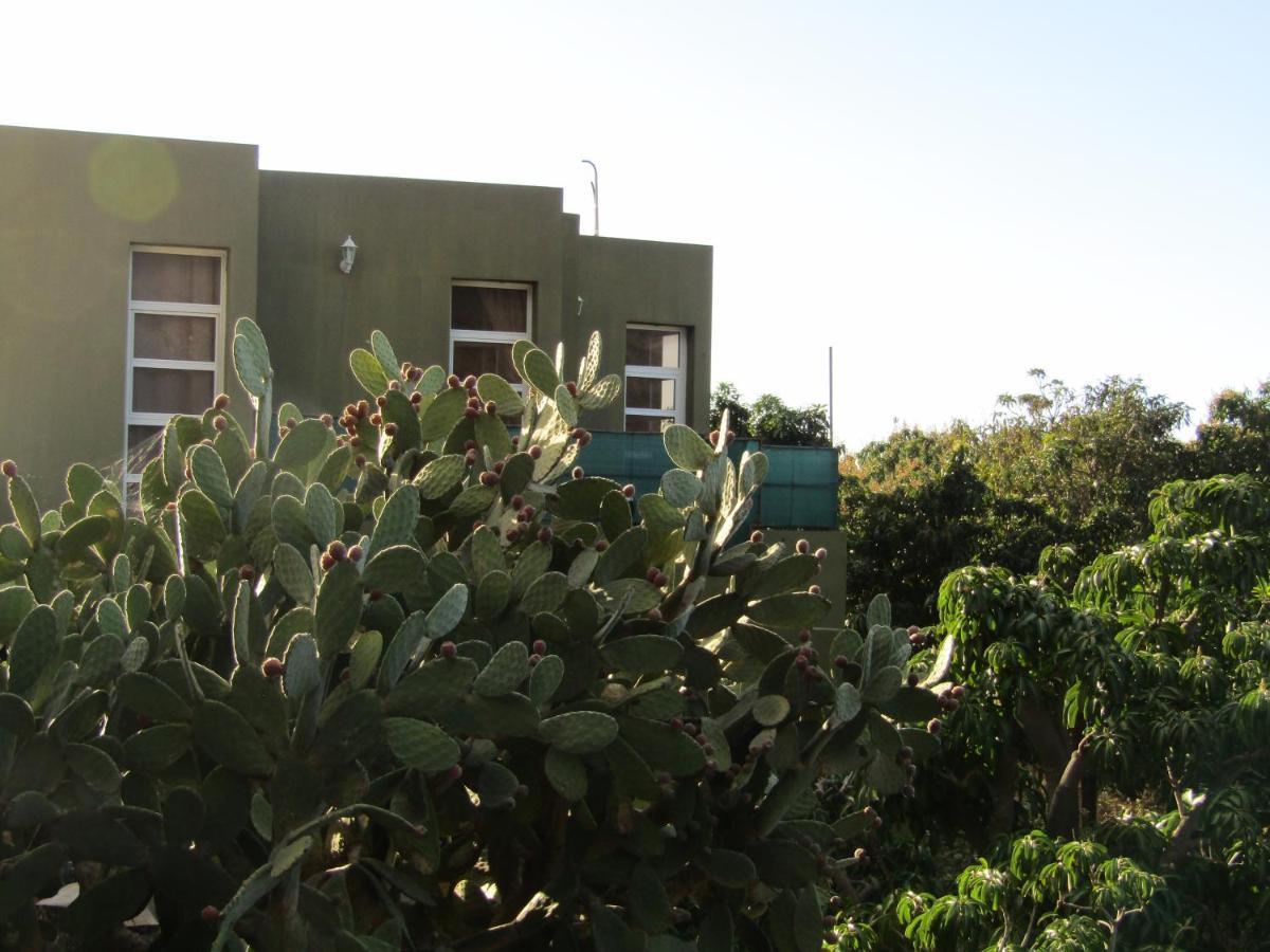 Apartments On An Organic Farm By The Coast, La Frontera Exterior foto