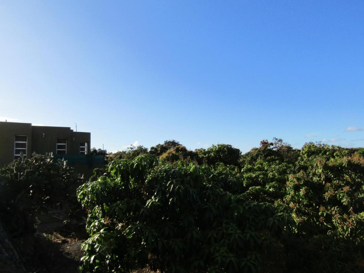 Apartments On An Organic Farm By The Coast, La Frontera Exterior foto