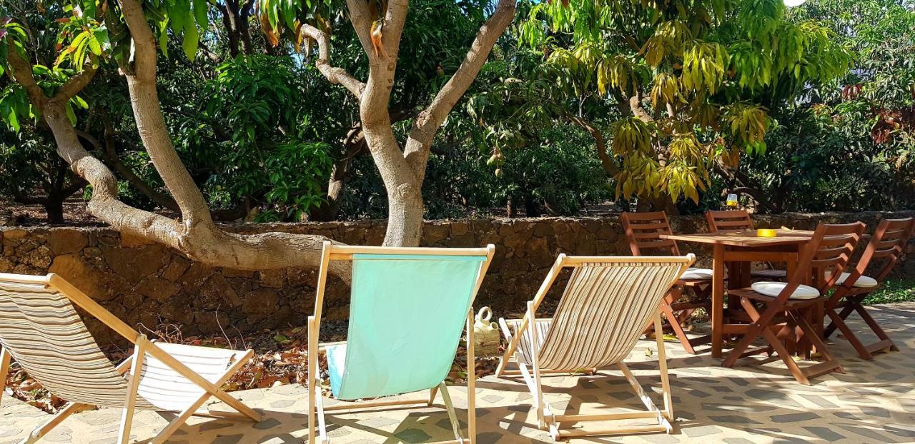 Apartments On An Organic Farm By The Coast, La Frontera Exterior foto
